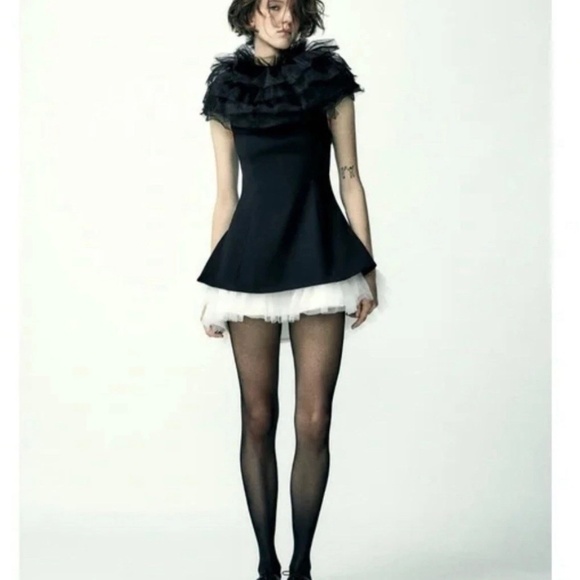 Zara Tulle Dress S - Picture 3 of 16